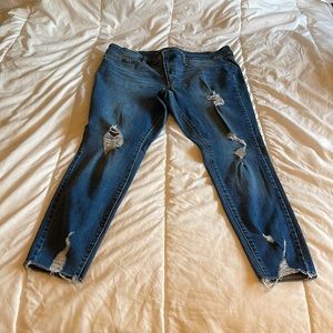 Distressed Jeggings Size:18 Medium Wash